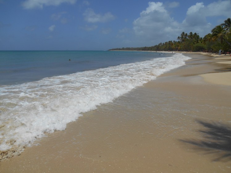 plage-des-salines-martinique.jpg