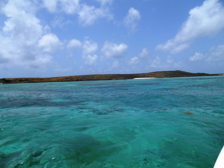 eaux-turquoises-fonds-blancs-martinique.jpg