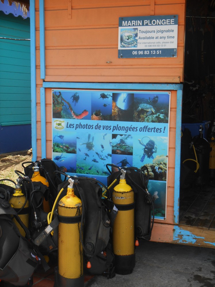 marin-plongee.jpg