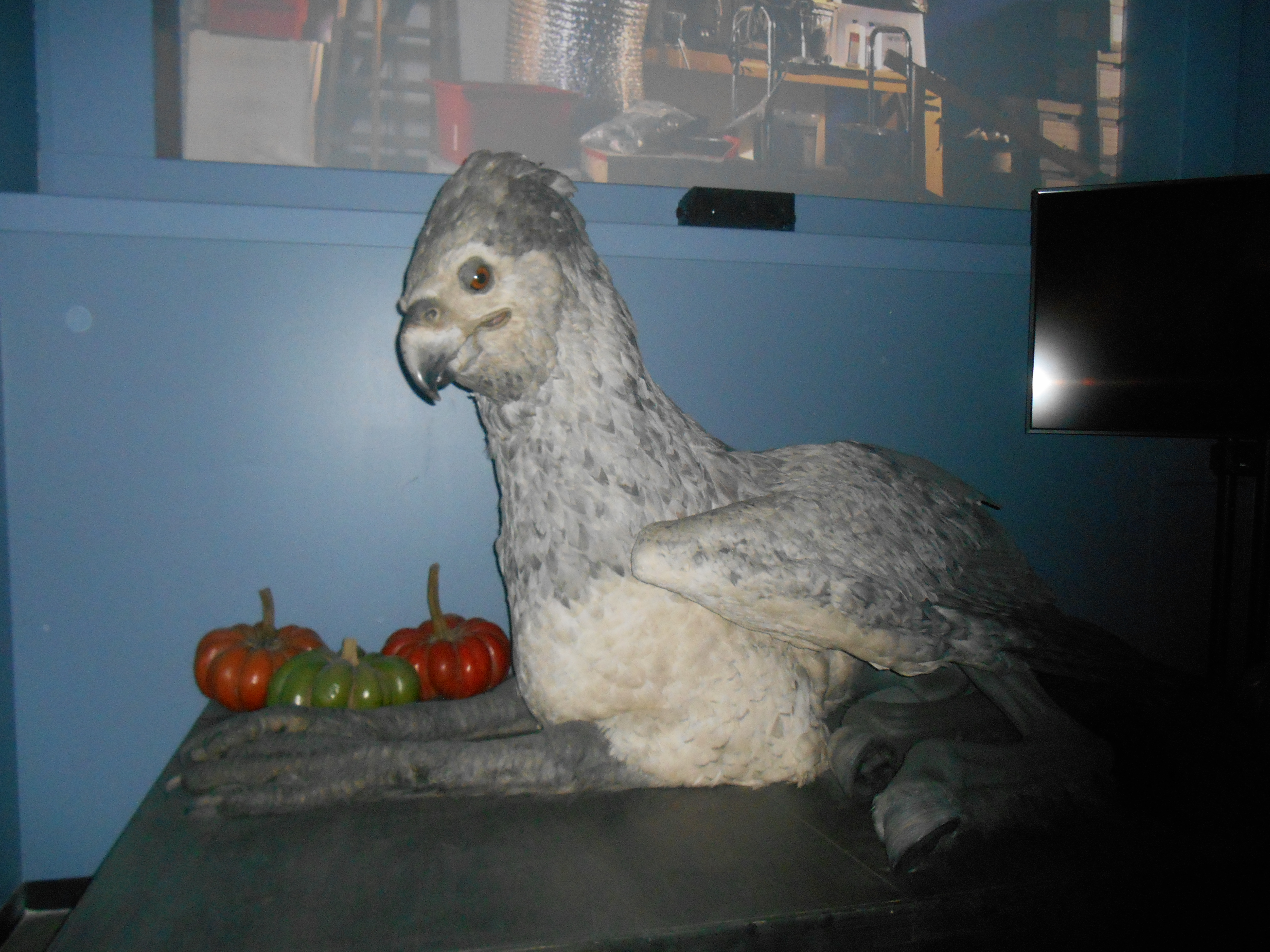 londres-sept-2016-285