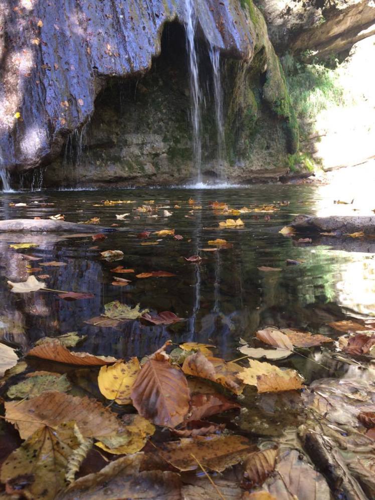 received_479355192421243